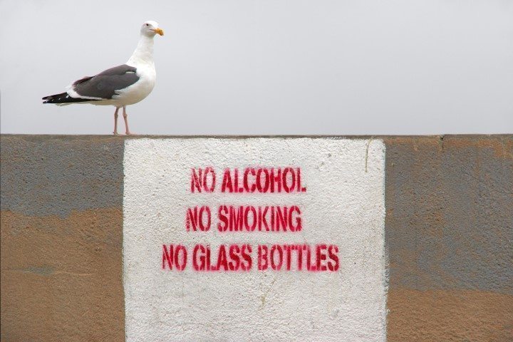 Preparing for Strategic IT Demands from Corporate Clients