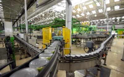 How technology Can Help Your Food & Beverage Business Grow