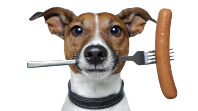 Sweat the Small Stuff